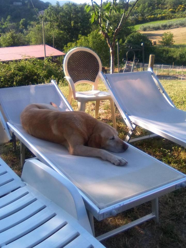 Agriturismo San Martino Foligno Buitenkant foto